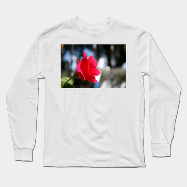 Bright and Colorful RED ROSE close up Long Sleeve T-Shirt by ROBERTDBROZEK